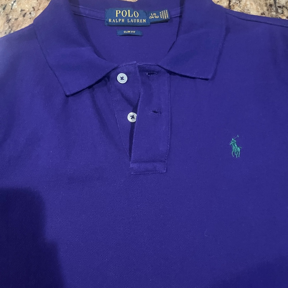Polo by Ralph Lauren Men's Polo Shirt in Rich Purple